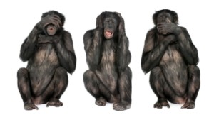 bigstock-Three-Wise-Monkeys--Chimpanze-5552293