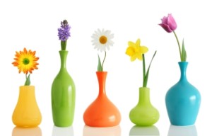 bigstock-Spring-flowers-in-vases-isolat-16555646
